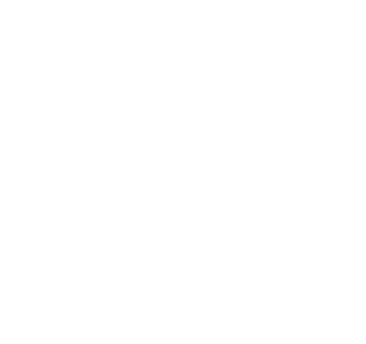 Про Билдинг Конструкшънс